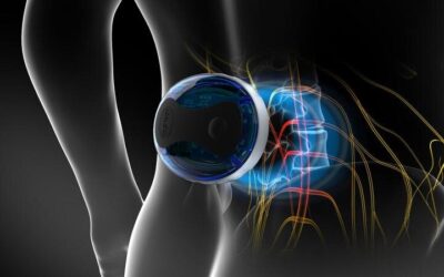 Bone and Joint Health: The PEMF Benefits for Bone & Tissue Stimulation and Therapy